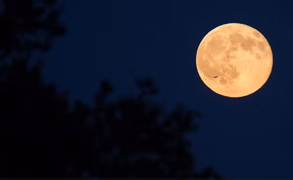 Ngoài ra, hiện tượng lần này còn có tên gọi khác là Trăng Quạ (Full Crow Moon), Trăng Băng Mỏng (Full Crust Moon), Trăng Nhựa Cây (Full Sap Moon) và Trăng Mùa Chay (Lenten Moon).