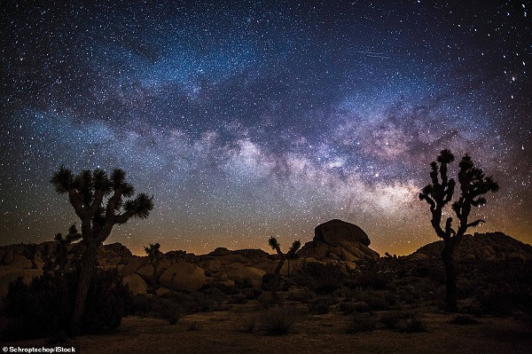 Bầu trời với dải ngân hà sáng rực cùng bóng của cây Joshua tạo nên cảnh tượng kỳ ảo tại sa mạc Mojave.