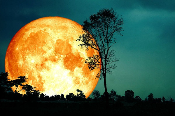 Siêu trăng cuối cùng của năm 2020 sẽ xuất hiện vào ngày 7/5.