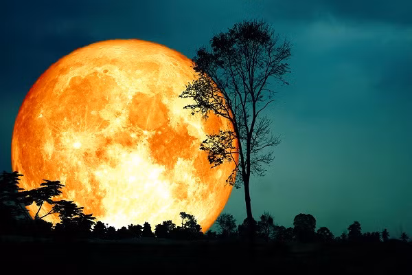 Siêu trăng cuối cùng của năm 2020 sẽ xuất hiện vào ngày 7/5.