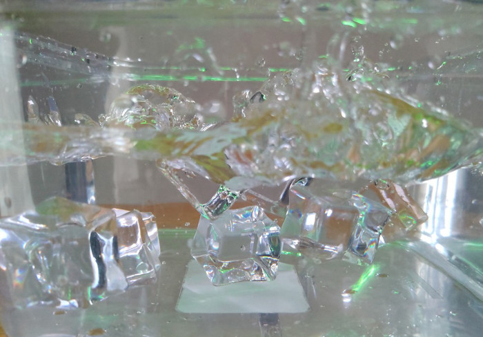 Kết quả này cho thấy khả năng chụp đóng băng của B86 không tồi.