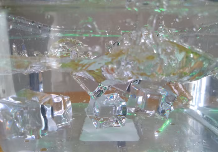 Kết quả này cho thấy khả năng chụp đóng băng của B86 không tồi.