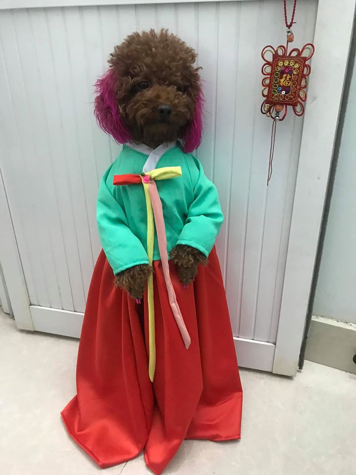 Những hình ảnh, clip ghi lại các hoạt động ngày thường của Su trên fanpage hay Youtube do chủ nhân đăng tải thậm chí còn đạt về tới hơn 5 triệu lượt xem.