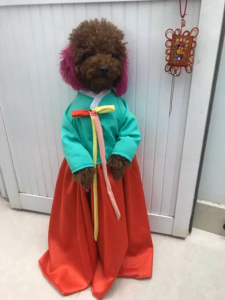 Những hình ảnh, clip ghi lại các hoạt động ngày thường của Su trên fanpage hay Youtube do chủ nhân đăng tải thậm chí còn đạt về tới hơn 5 triệu lượt xem.