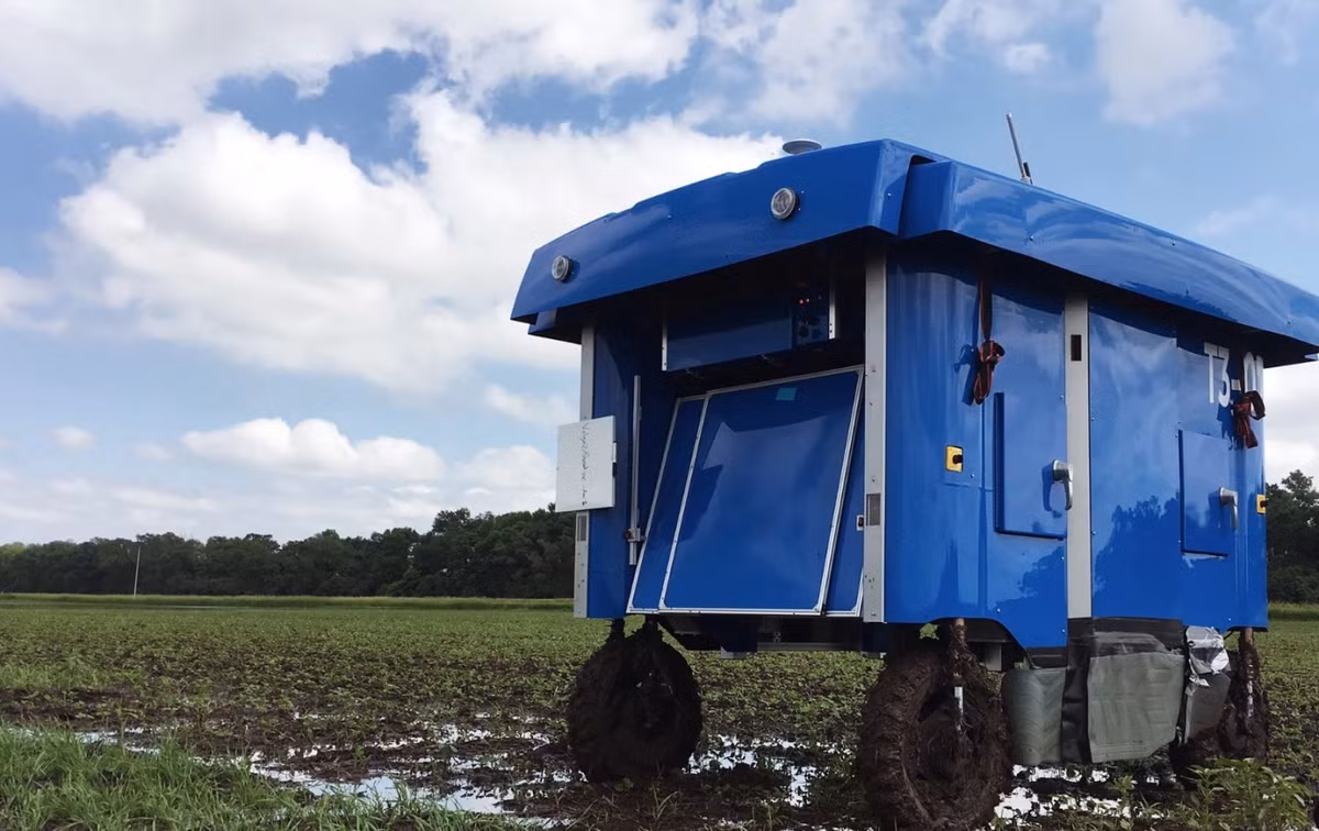 Plant Buggy được chế tạo với nhiều hình dáng và kích thước đa dạng, do đó có thể được sử dụng linh hoạt trong nhiều tình huống khác nhau.