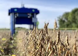 Các chuyên gia Alphabet cho biết mẫu robot này có thể giúp nông dân nắm bắt tình trạng cánh đồng của mình ở cấp độ từng từng cây một theo thời gian thực, đồng thời tham khảo dự đoán về việc các loại cây trồng khác nhau sẽ phản ứng như thế nào với điều kiện môi trường thực tế của khu canh tác, liệu có thể đạt năng xuất cao hay không.