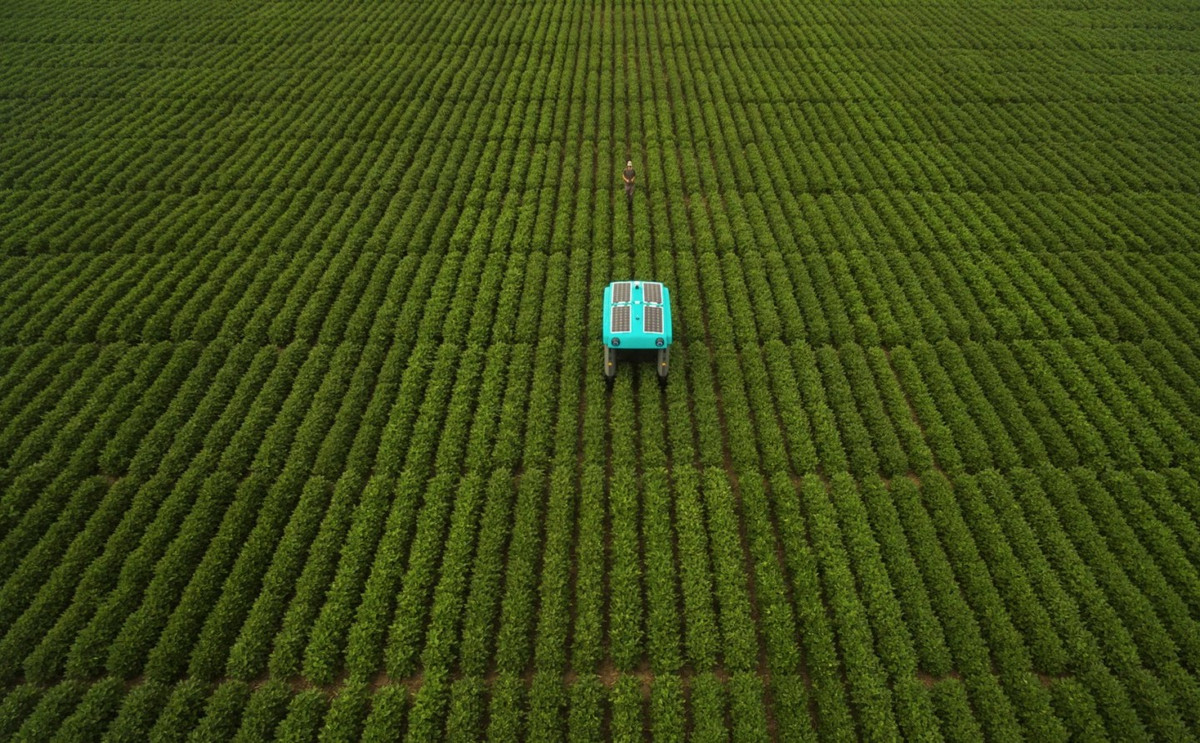 Từ những dữ liệu này, người nông dân có thể dự tính trước quy mô và sản lượng của vụ thu hoạch, hoặc phát hiện những rủi ro như hạn hán, ngập úng, sâu bệnh... từ đó đưa ra biện pháp phòng ngừa từ sớm trước khi chúng làm hỏng cả vụ mùa.