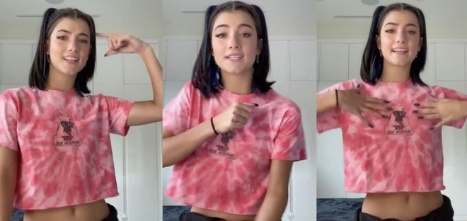 Trước khi nổi tiếng trên TikTok, D'Amelio là một vũ công. Cô đã tập luyện bộ môn khiêu vũ thể thao từ năm 3 tuổi. Tuy các video trên TikTok khác với những màn biểu diễn ở sân khấu chuyên nghiệp, đây được xem là yếu tố giúp cô trở nên khác biệt.