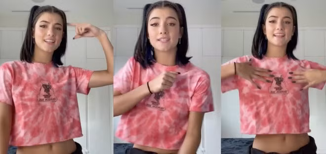 Trước khi nổi tiếng trên TikTok, D'Amelio là một vũ công. Cô đã tập luyện bộ môn khiêu vũ thể thao từ năm 3 tuổi. Tuy các video trên TikTok khác với những màn biểu diễn ở sân khấu chuyên nghiệp, đây được xem là yếu tố giúp cô trở nên khác biệt.