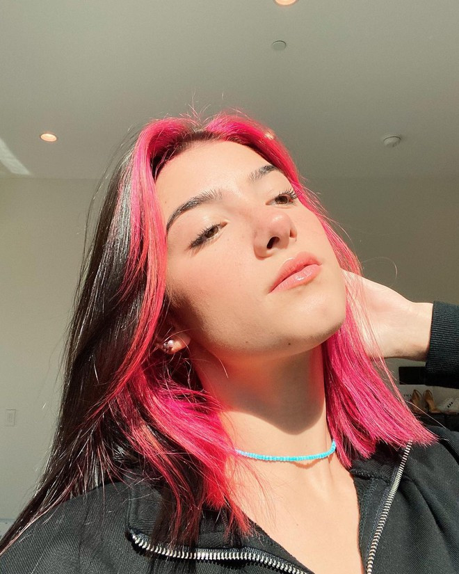 Cụ thể, với hơn 100 triệu theo dõi trên TikTok, Charli D'Amelio đang sở hữu lượng follow gấp 5 lần so với Ariana Grande, gấp 4 lần so với Selena Gomez, gấp 3 lần Dwayne “The Rock” Johnson, gấp hơn 2 lần so với Will Smith,...