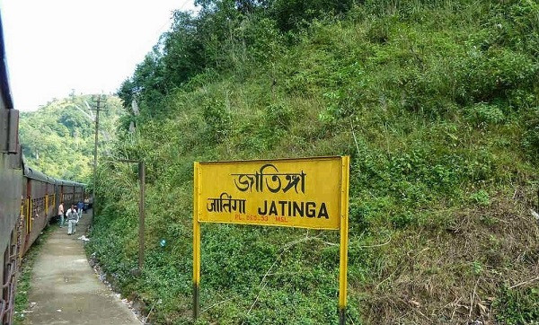 Hiện tượng chim tự sát ở Jatinga được cho là xuất hiện lần đầu vào năm 1905. Cứ vào đợt gió mùa cuối năm, những đàn chim di cư lưu lạc đến đây, và thậm chí cả những con chim sống tại làng bỗng dưng chết hàng loạt không lý do.