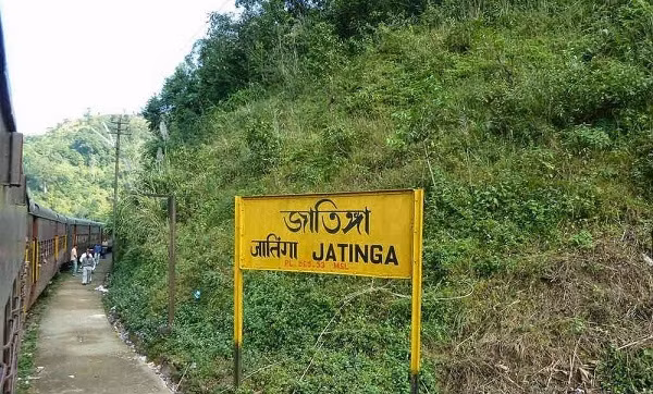 Hiện tượng chim tự sát ở Jatinga được cho là xuất hiện lần đầu vào năm 1905. Cứ vào đợt gió mùa cuối năm, những đàn chim di cư lưu lạc đến đây, và thậm chí cả những con chim sống tại làng bỗng dưng chết hàng loạt không lý do.