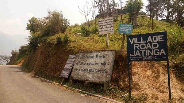 Những chuyên gia nghiên cứu về chim thì tin rằng có sự liên kết nào đó giữa hiện tượng này và lực điện từ trong khu vực, do vị trí địa lý đặc biệt.