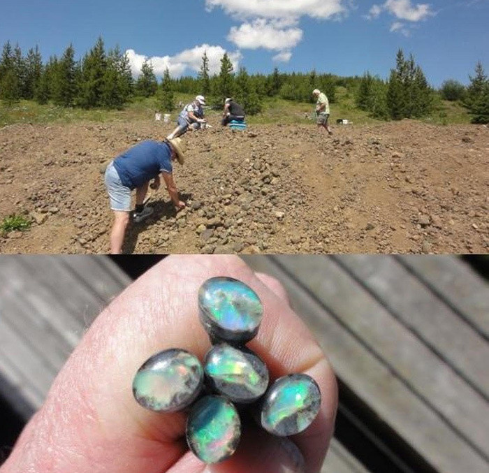 Du khách sẽ được mang mọi thứ tìm thấy về nhà mà không phải trả tiền. Thứ duy nhất phải trả là vé vào cửa, giá là 5 USD đối với trẻ em (từ 6 đến 12 tuổi) và 8 USD đối với người lớn. Nếu không mang theo công cụ tìm kiếm, đãi kim cương, mọi người cũng có thể thuê tại đây.