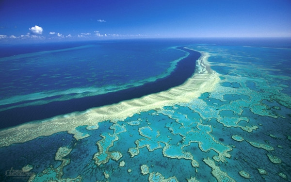 Nằm ở ngoài khơi Đông Bắc Úc thuộc bang Queensland, Great Barrier Reef là rạn san hô lớn nhất thế giới và cũng là công trình vĩ đại nhất của các sinh vật sống dưới đại dương.