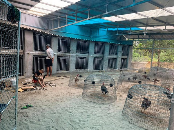 Trong khi Mao Ca sở hữu căn biệt thự sang trọng thì Mao Đệ cũng có một trang trại gà rộng lớn và đang trong quá trình xây căn biệt thự của mình.