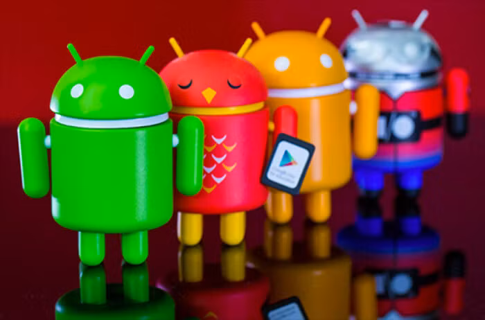 Dandroids mặc dù mang những nét đặc trưng riêng nhưng đến sau cùng, Google đã chọn Robot xanh với dáng vẻ hiện đại và trẻ trung hơn được sáng tạo bởi Irina Blok, làm biểu tượng chính thức cho hệ điều hành di động của họ.