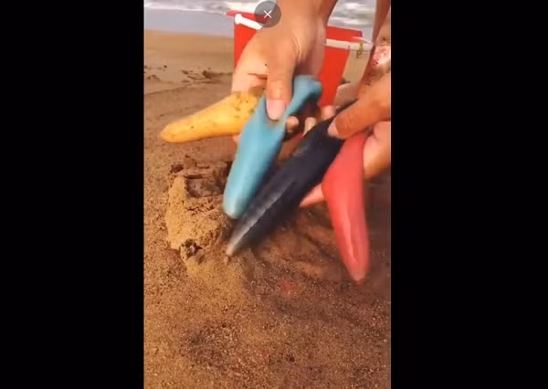 Nhiều người dùng Twitter bình luận đây là một loài cá kỳ dị có hình dạng giống giun, được gọi là "cá của quý". Chúng được tìm thấy đa phần ở khu vực Đông Á và Bắc Mỹ.