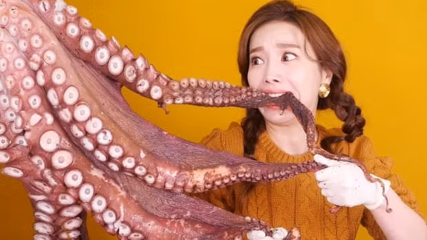 Nhiều Youtuber nổi tiếng khác đã làm video để "tố" Soyoung có hành động ngược đãi động vật sống, điển hình là hành động chặt đầu một con mực sống và ghi hình lại cho khán giả xem.