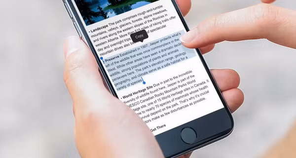 Những ứng dụng này có thể lấy thông tin người dùng qua phần sao chép và dán (copy & paste).