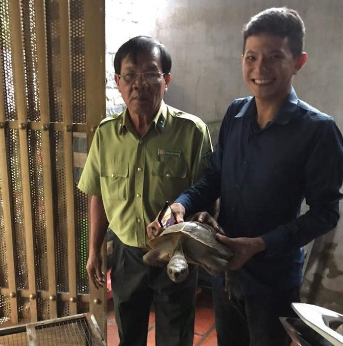 Anh Lê Thanh Việt (ngụ khu phố Tây B, phường Đông Hoà, TP Dĩ An) đến UBND phường Đông Hòa trình báo với nội dung tự nguyện giao nộp một cá thể rùa hoang dã có kích thước khoảng 60x40cm được phát hiện bò vào nhà sau cơn mưa lớn ngày 20/9.