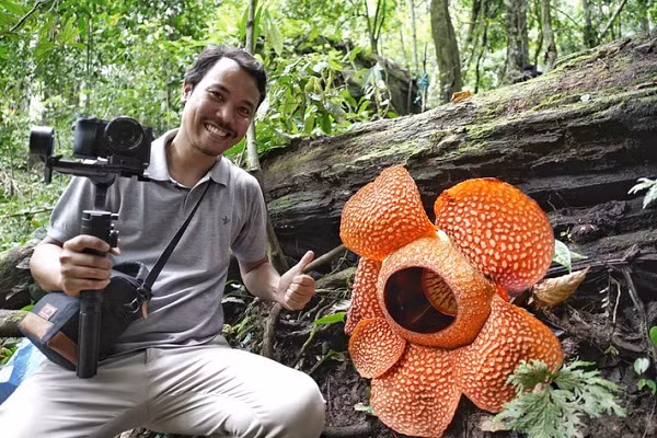 Loài hoa lớn nhất thế giới hiện nay là hoa vua có đường kính tới 1,4mvà nặng 50kg. Khi mới nở, chúng có mùi rất thơm, nhưng chỉ vài ngày sau lại phát ra mùi thịt thối rữa.