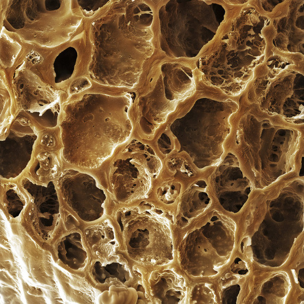 Đúng là cà phê rất ngon nhưng nếu bạn biết rằng đây là hình ảnh zoom cận của hạt cà phê rang xay thì chắc độ ngon của cà phê cũng giảm đi vài phần rồi.