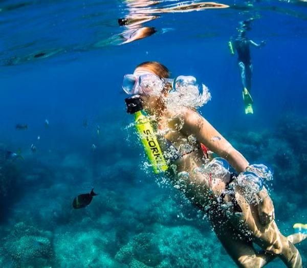 Chỉ cần bơm đầy không khí và gắn vào miệng, chiếc bình nhỏ nhưng có võ này có thể giúp bạn thỏa sức vùng vẫy dưới nước trong thời gian tối đa 10 phút.