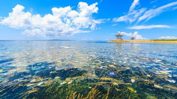 Mặt khác, giá dầu lao dốc khiến hàng loạt nhựa nguyên chất rẻ tiền tràn ngập thị trường, làm giảm khả năng cạnh tranh của vật liệu tái chế.