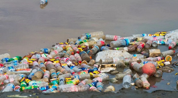 Các quốc gia Đông Nam Á đã có những động thái nhằm phần nào giảm lượng phế liệu nhựa. Mới đây, tại Indonesia, nước xả nhựa ra đại dương lớn thứ 2 thế giới, bà Dian Kurniawati, CEO Công ty tái chế Tridi Oasis, cho biết đang lên kế hoạch tăng quy mô công suất tái chế.