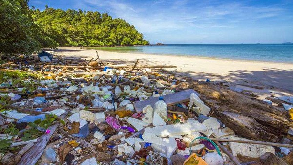 Tại Ấn Độ, nơi ước tính có khoảng 2 triệu người làm làm công việc bán thời gian thu gom và phân loại vật liệu tái chế, nhiều công nhân đang rơi vào tình trạng tuyệt vọng