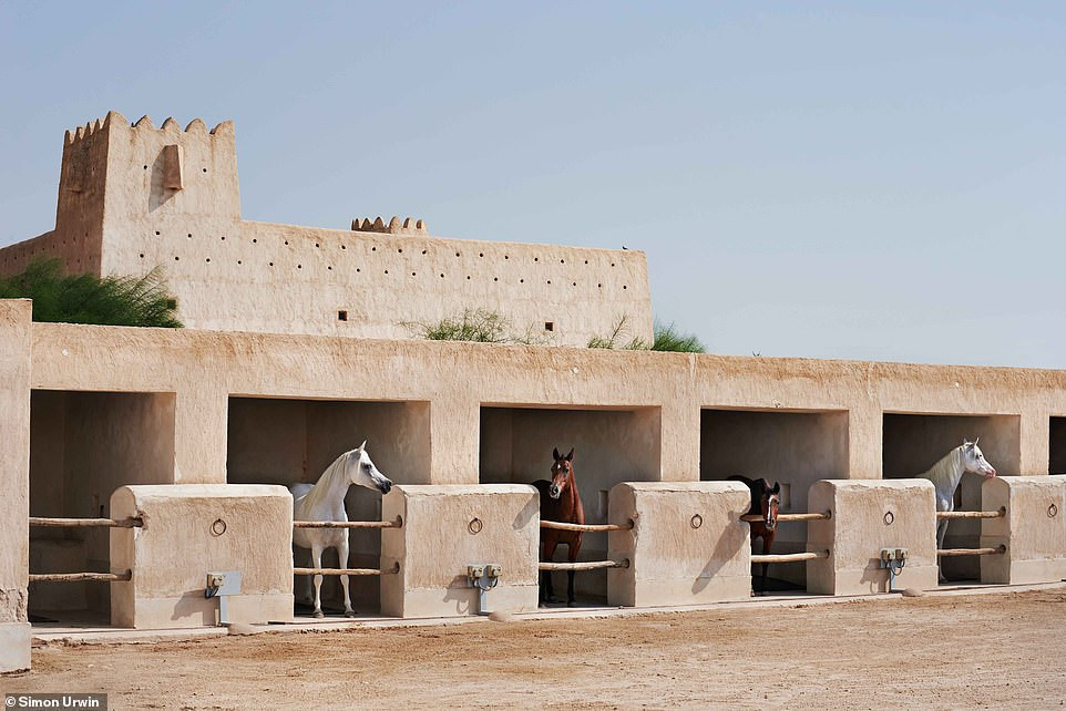 Khu chuồng cũ được sử dụng trong những tháng mùa đông lạnh giá. Tại đây có máy điều hòa đặc biệt. Ngựa ngủ trên bộ ga giường bằng gỗ dăm không gây dị ứng được chuyển đến từ Hà Lan, ăn cỏ khô từ Mỹ và Australia.