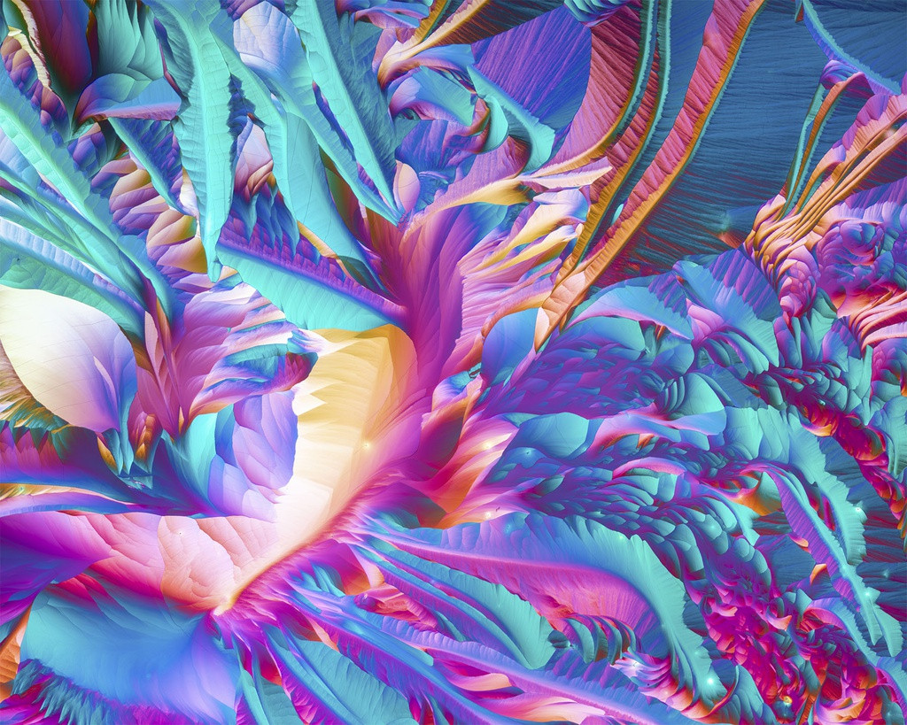 Không phải một sinh vật nào cả, đây là hình ảnh phóng đại 50 lần qua kính hiển vi chế phẩm của axit amin L glutamine và beta alanine được tinh thể hóa từ dung dịch ethanol.