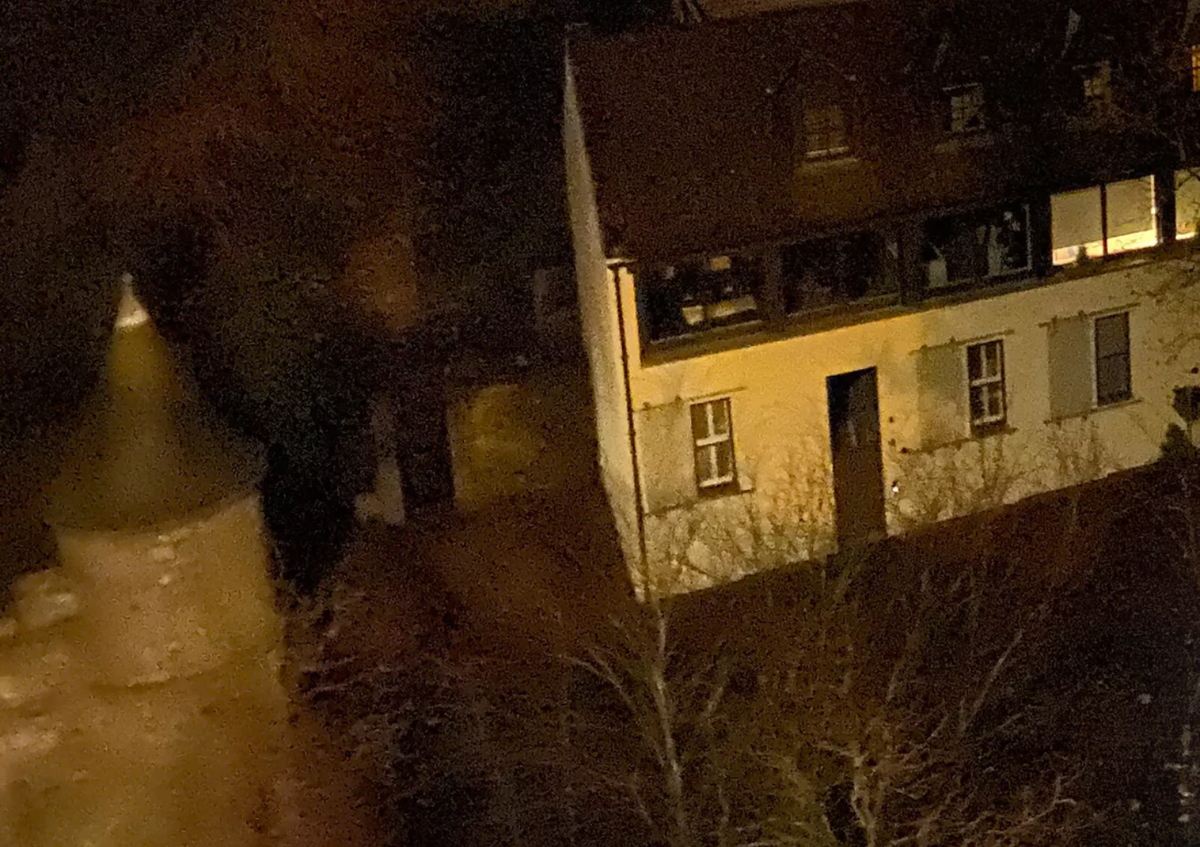 iPhone 11 Pro, crop 100%. Ảnh vẫn giữ được chi tiết tốt nhưng dễ dàng nhận thấy ảnh có độ nhiễu khá lớn.