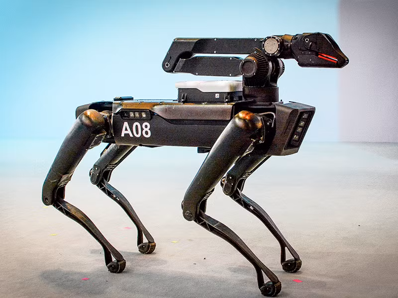 Trước đó, hàng loạt mẫu robot mang hình thù thú cưng đã được trình làng cuối năm 2019.