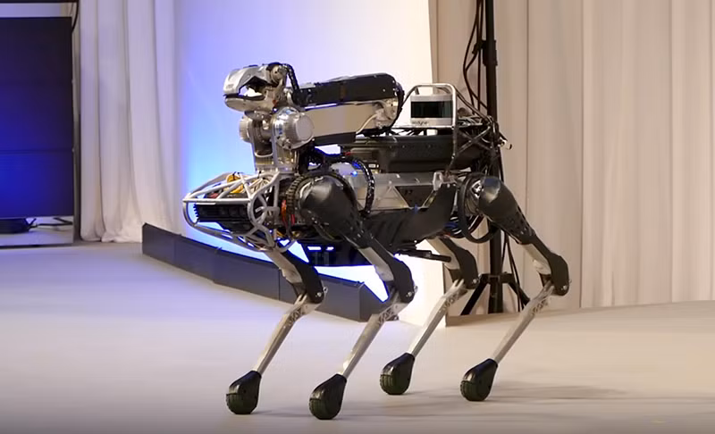 Các mẫu thiết kế robot dog nhìn chung mô phỏng theo hình dáng và cơ chế chuyển động bằng chân như những chú chó thực tế;