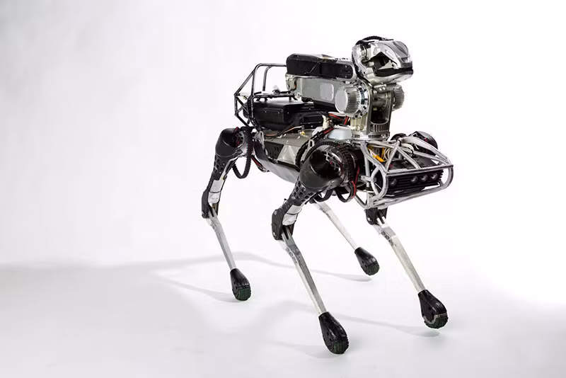  Robot thú cưng được nói đến là mẫu robot SpotMini, robot có thể hoạt động tự động hoặc thực hiện các tác vụ có sẵn theo lệnh của con người.