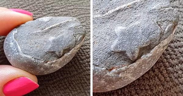  Sức sáng tạo của thiên nhiên khiến con người cũng phải ''tâm phục khẩu phục'', cứ nhìn viên đá mang hình ngôi sao kỳ diệu này là rõ.