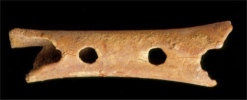 Dụng cụ âm nhạc cổ nhất thế giới là một cây sáo có niên đại khoảng 40.000 năm được làm từ ngà voi ma mút và xương chim. Dụng cụ này được gọi là "sáo Neanderthals" vì được tìm thấy vào thời gian người Neanderthals sinh sống.