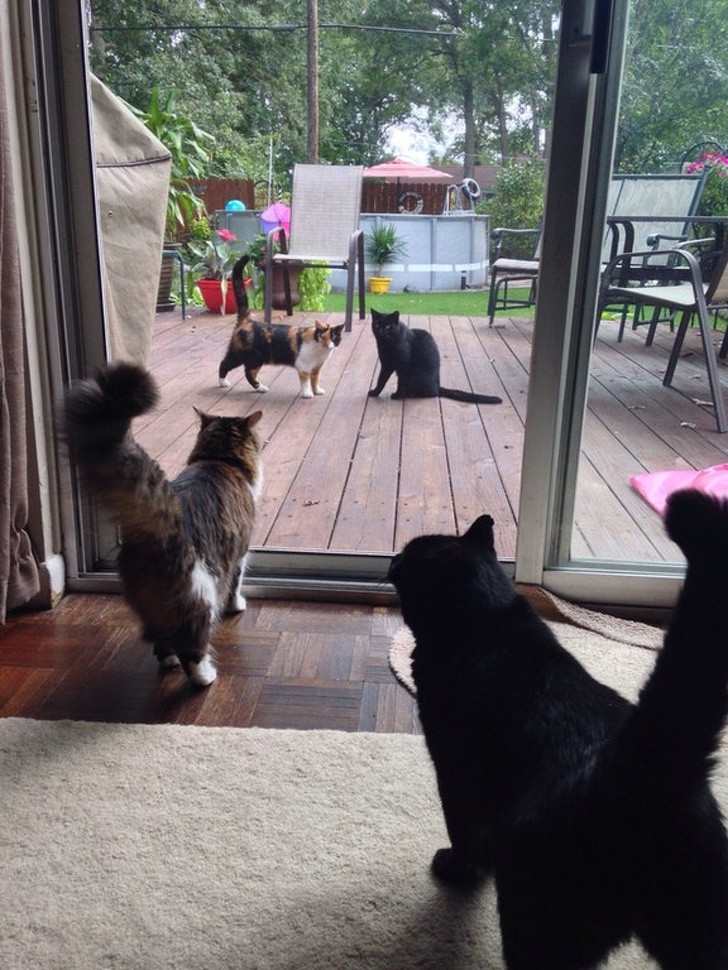 Bên ngoài và bên trong tựa như đang soi gương.