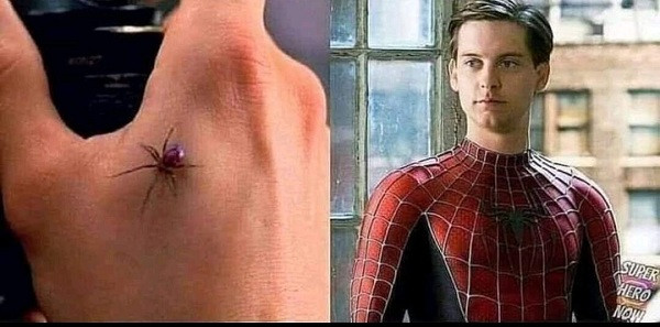 Những cậu bé này rất hâm mộ Người Nhện và nghĩ rằng cả 3 sẽ có được siêu năng lực, có thể bay nhảy và đánh bại người xấu nếu để nhện cắn như nhân vật trong phim.