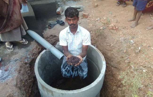 Mỗi nhà vệ sinh Con hổ có giá khoảng 350 USD (8,1 triệu đồng) cùng nhiều đặc tính ưu việt do đó cực kỳ phù hợp với những Quốc gia đang phát triển. Đối với bản thân Bill Gates, ông cho rằng tầm quan trọng của một nhà vệ sinh kiểu mới không hề thua kém máy tính cá nhân hay smartphone.