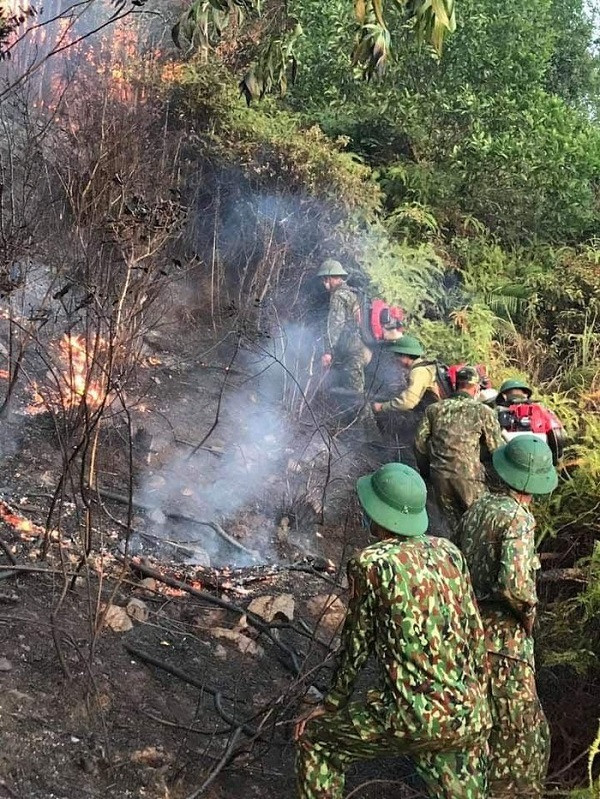 Xuc dong hinh anh hang tram chien sy mo hoi man chat, ra roi giua bien lua cuu rung-Hinh-5