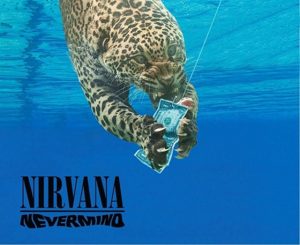  Báo đốm săn mồi dưới nước vô cùng hung dữ phiên bản ''đừng để tiền rơi''.