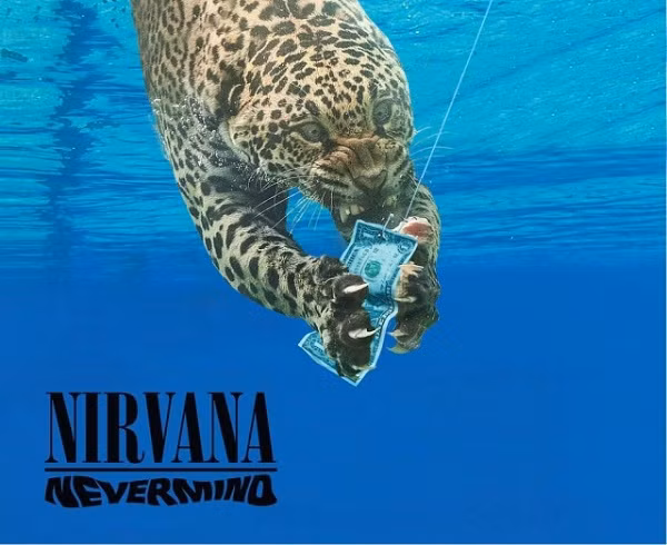  Báo đốm săn mồi dưới nước vô cùng hung dữ phiên bản ''đừng để tiền rơi''.