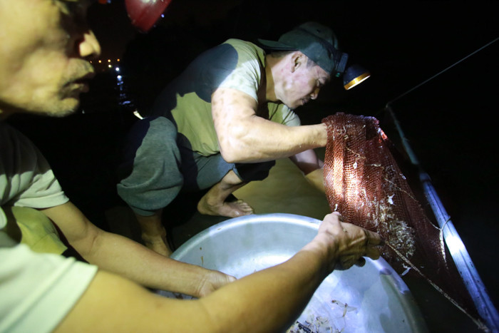 Ở Hà Nội, có 2 địa điểm săn bắt vờ vờ lớn nhất là ở Ninh Sở (Thường Tín) và khu vực sông Hồng đoạn qua cầu Vĩnh Tuy.