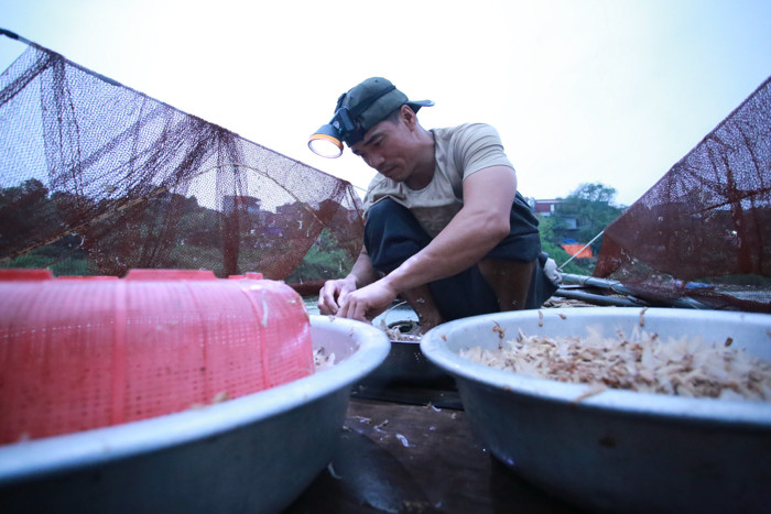 Trung bình vờ vờ có giá khoảng 400-500.000 đồng/kg, ở lúc cao điểm có thể lên tới 1 triệu đồng/ kg.