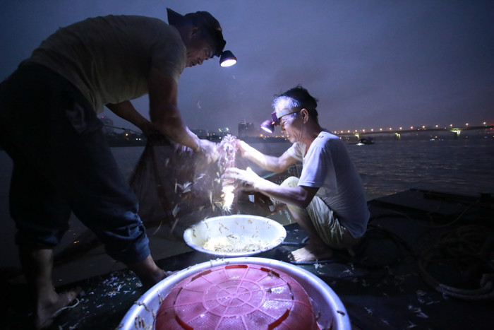 Mùa đi săn vờ vờ kéo dài khoảng từ tháng 1 đến tháng 6 âm lịch. Nhưng nhiều nhất và chất lượng ngon nhất là khoảng tháng 2 tháng 3 âm lịch.