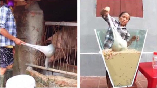 Bà Tân Vlog cũng vướng nghi vấn sử dụng chiếc muôi cho lợn ăn để pha trà sữa, nấu nước mận, làm thạch dưa hấu,...