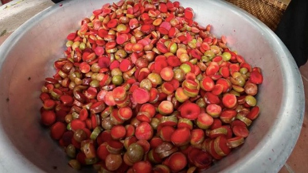 Trước đó, trong video hướng dẫn làm ly siro mận siêu to khổng lồ, một số ''vị khách không mời'' khác là những con ruồi xuất hiện trong khi Bà Tân Vlog đang chế biến mận khiến dân tình không khỏi bức xúc.